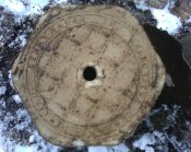 IMG0055A.jpg