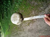 DSC01578.jpg
