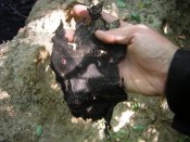 DSCN0580.jpg