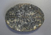 IMG472.jpg