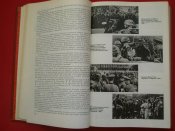 PC200140.JPG