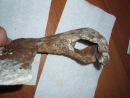 m_969e7450.jpg
