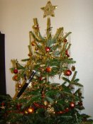 DSC07419.jpg