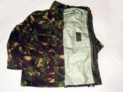 dpm n (2).jpg