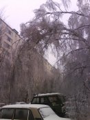 DSC00432#1.jpg