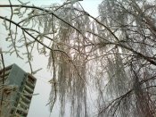 IMG0029A.jpg