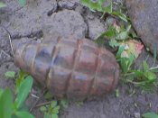 060520_133044.jpg