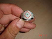 Лес 015.jpg