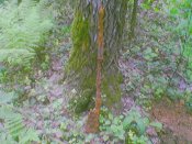060610_171236.jpg