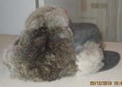 IMG_1519.jpg