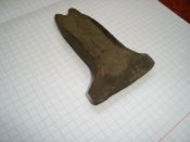 DSC08570.JPG