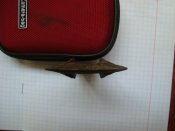 DSC08581.JPG