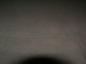 P1016650.JPG
