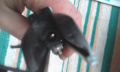 IMG_20160306_122703.jpg