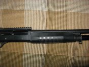 IMG_8156_S.jpg