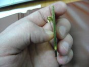 DSC00914.JPG