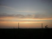 DSCN0573.jpg