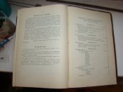 DSC05405.JPG