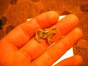 DSCN1748.JPG