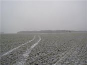 e4c640016599.jpg