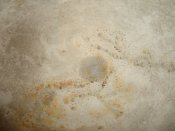 DSC00305.JPG
