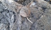 20160220_163248.jpg