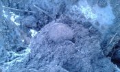 20160220_165105.jpg