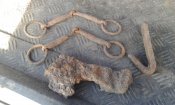20160409_083811.jpg