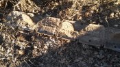 20160309_153833.jpg
