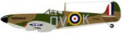 19sqnspit.jpg