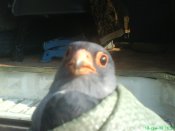 DSC00435.JPG
