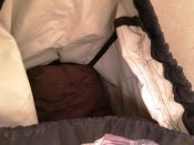 IMG_4463.JPG