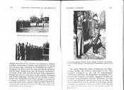 img0004cm4.jpg
