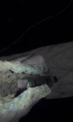 IMG_20160312_171155.jpg
