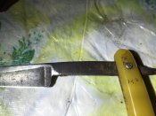 image.jpeg