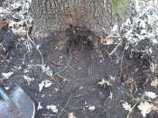 20160312_075102.jpg