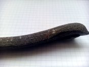 IMG_20160317_114317_1.jpg