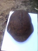 IMG_20160314_091311.jpg