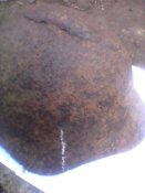 IMG_20160314_091346.jpg