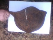 IMG_20160314_091746.jpg