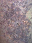 IMG_20160314_092553.jpg