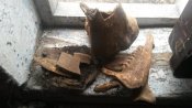 20160315_105429.jpg