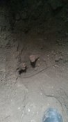 20160315_120517.jpg