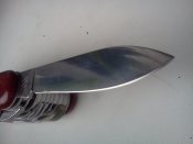 IMG1141.jpg