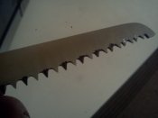 IMG1161.jpg