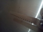 IMG1031.jpg