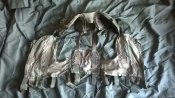 WP_20160310_008.jpg