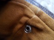 SAM_4819.JPG