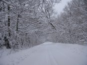IMG_5840.JPG