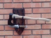 IMG_20160317_162715.jpg